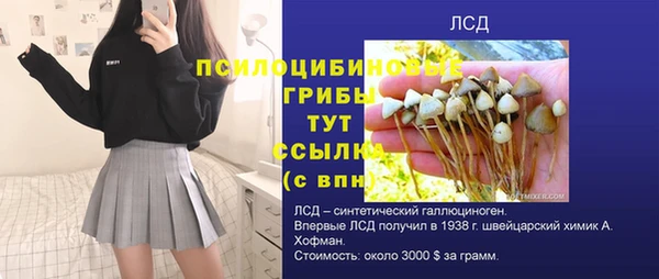 эйфоретик Семёнов
