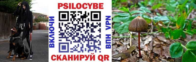 Псилоцибиновые грибы MAGIC MUSHROOMS  наркотики  Можайск 