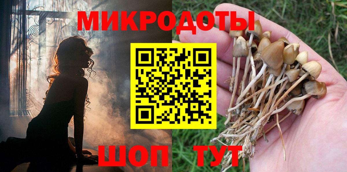 Псилоцибиновые грибы Psilocybine cubensis  Псилоцибиновые грибы MAGIC MUSHROOMS  Можайск  Вход с VPN 
