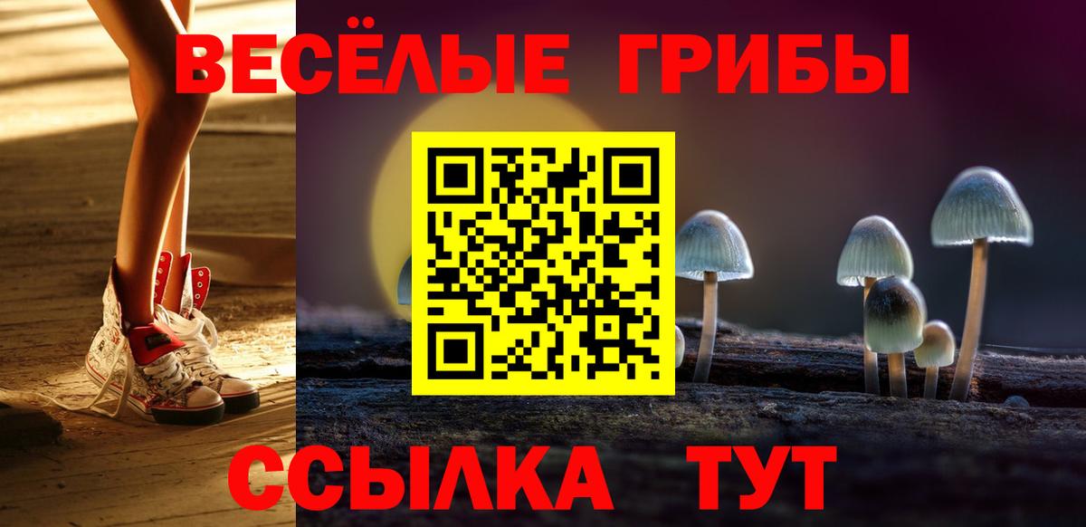 Псилоцибиновые грибы мухоморы Можайск